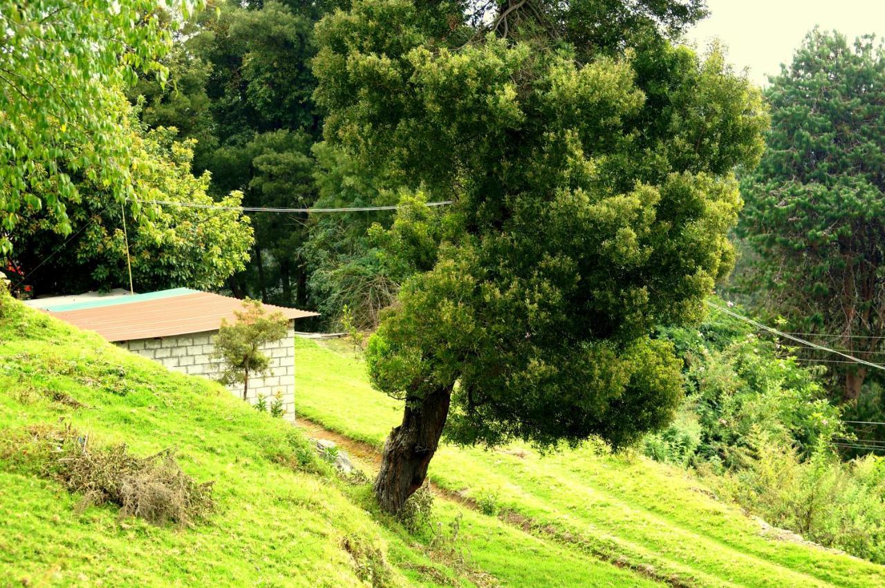 Maruti Villa Kodaikanal Eksteriør billede